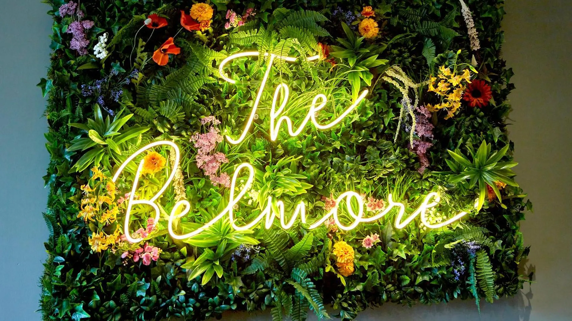 Hotel The Belmore Sale
